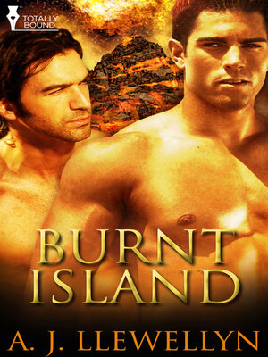 cover image of Burnt Island